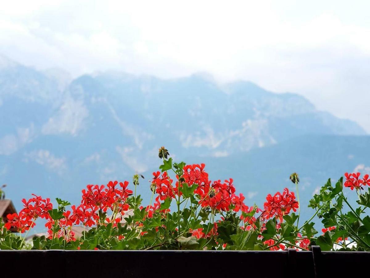 La Casa Di Michela - 120M2 In The Mountains With Fireplace & Garden Strigno Ngoại thất bức ảnh